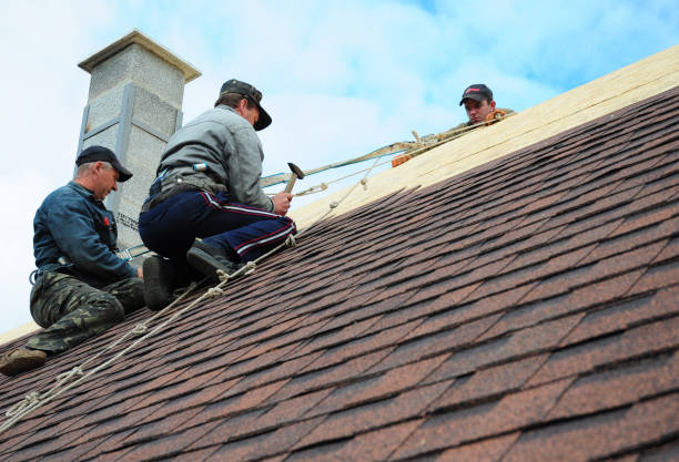 Quick and Trustworthy Emergency Roof Repair Services in Woodbridge, CA